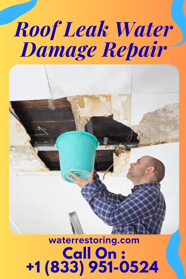 Roof Leak Water Damage Repair in New Hope, TX
